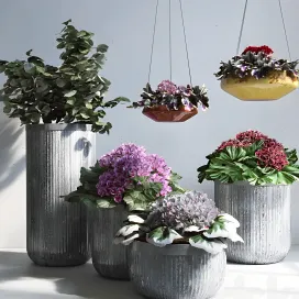 Pottery barn planters